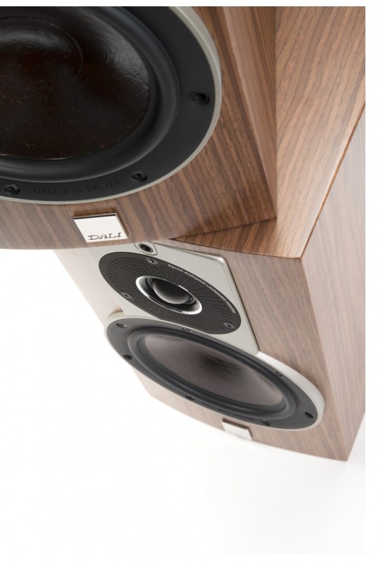 DALI Rubicon 2 Speakers